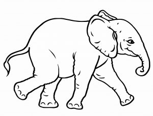 cute elephant cartoon clipart free download