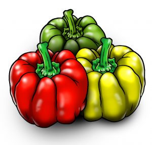 capsicum in red, green and yellow colors