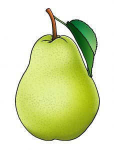 pear color illustration free clipart