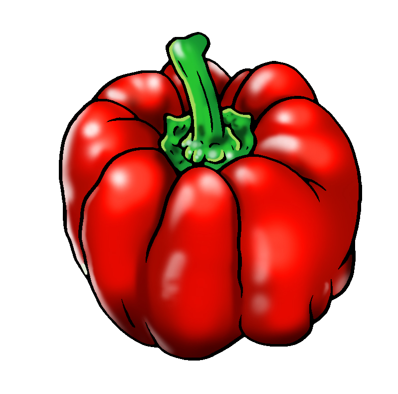 red capsicum illustration