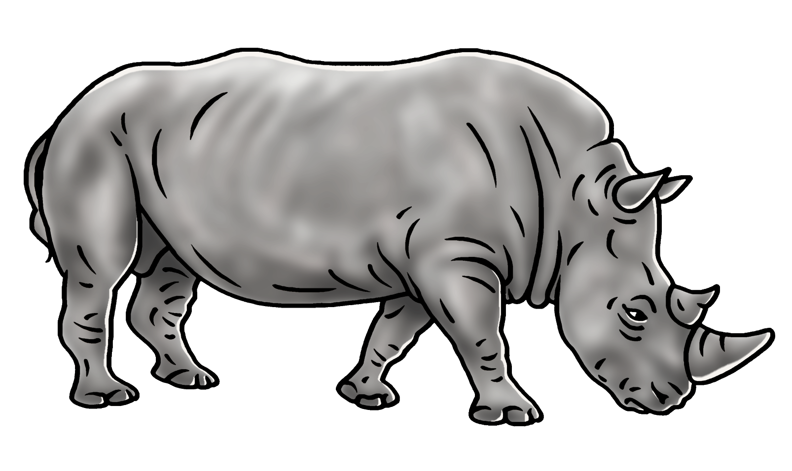 rhino cartoon png