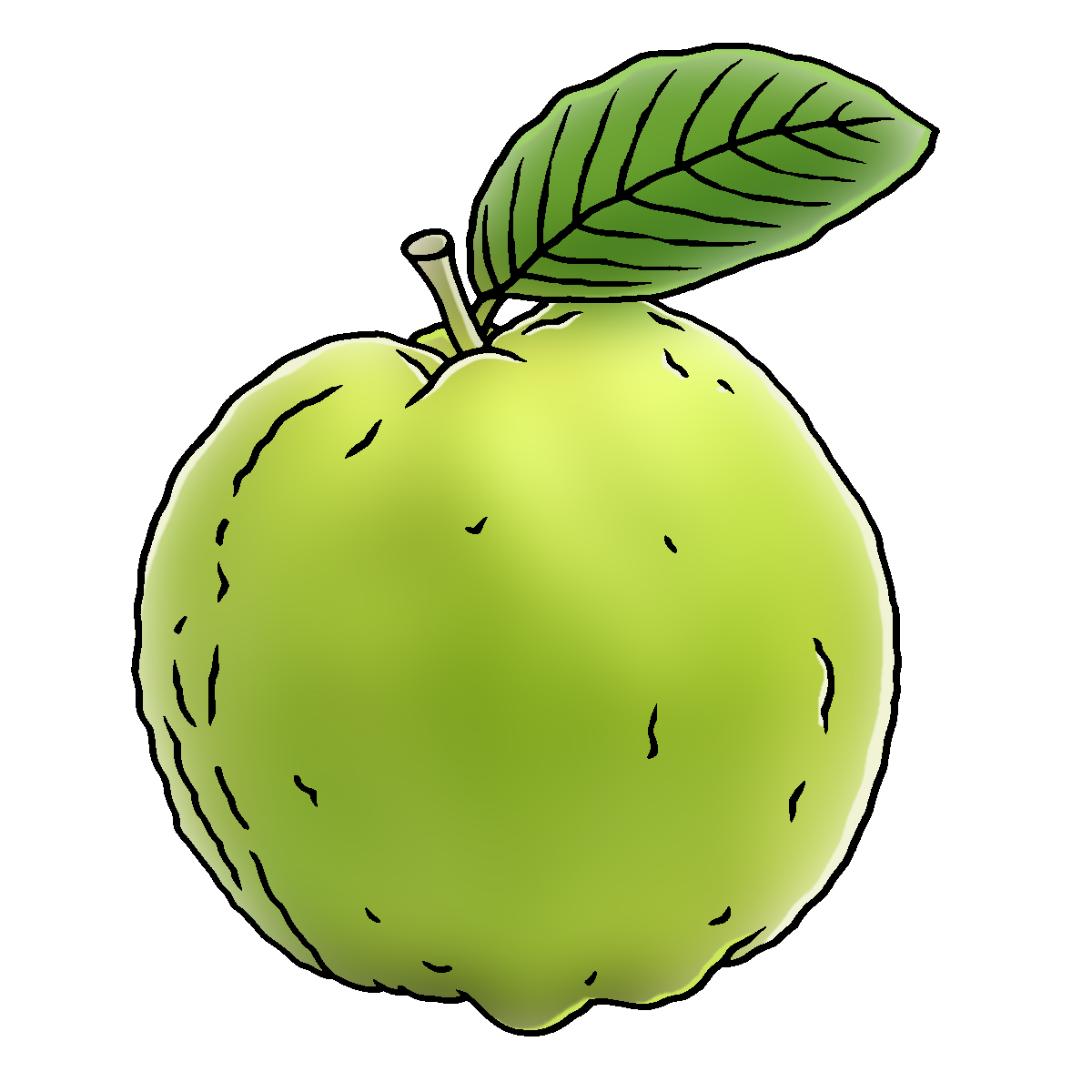 guava clipart illustration