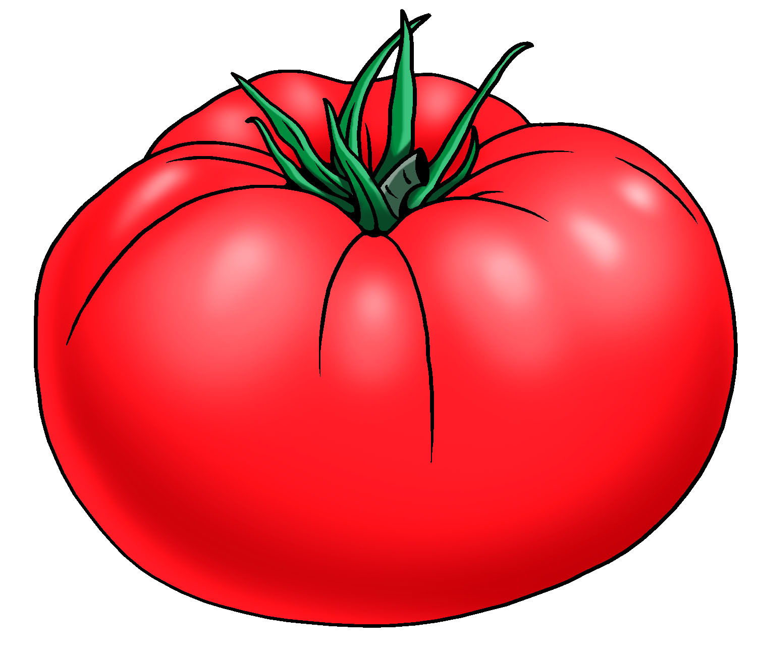 Tomato clipart drawing illustration sketch picture