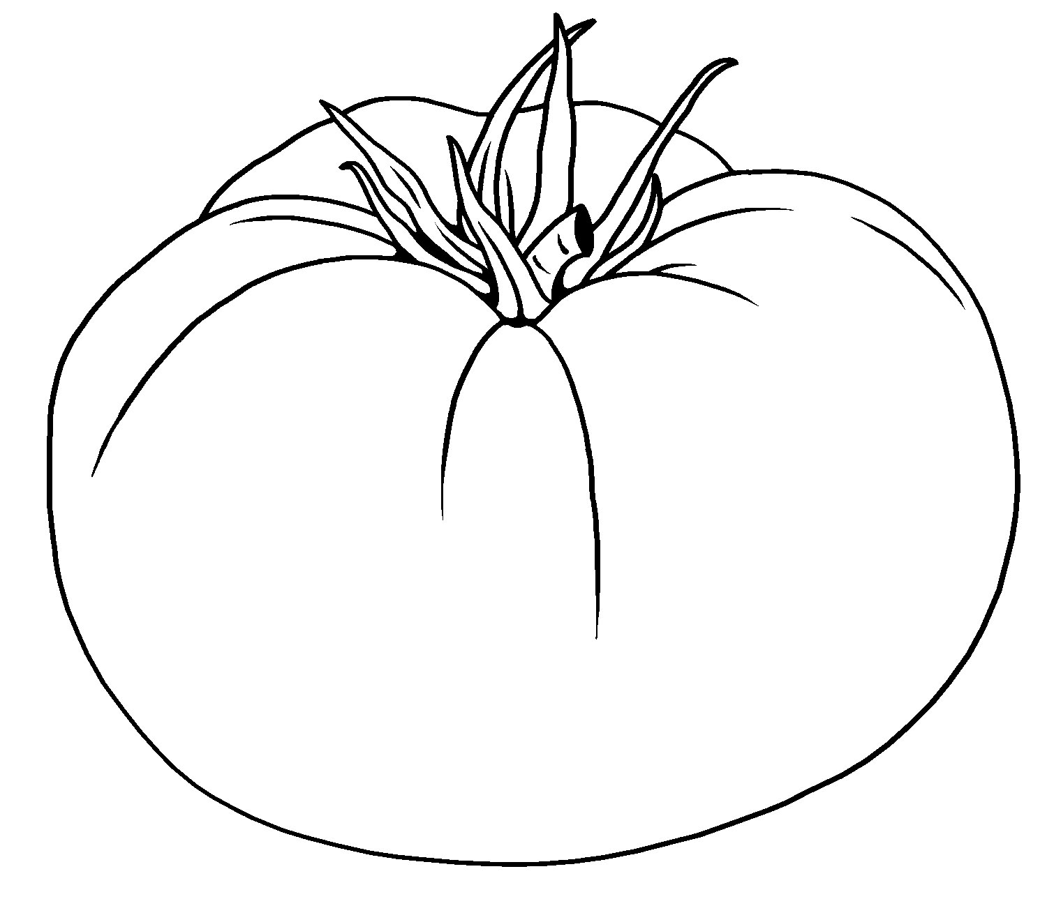 tomato clipart outline drawing illustration picture