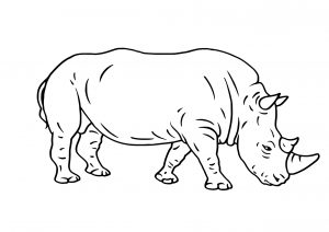 Rhino cartoon outline black and white clipart illustration