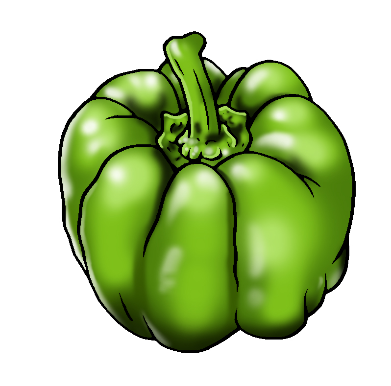 green capsicum illustration