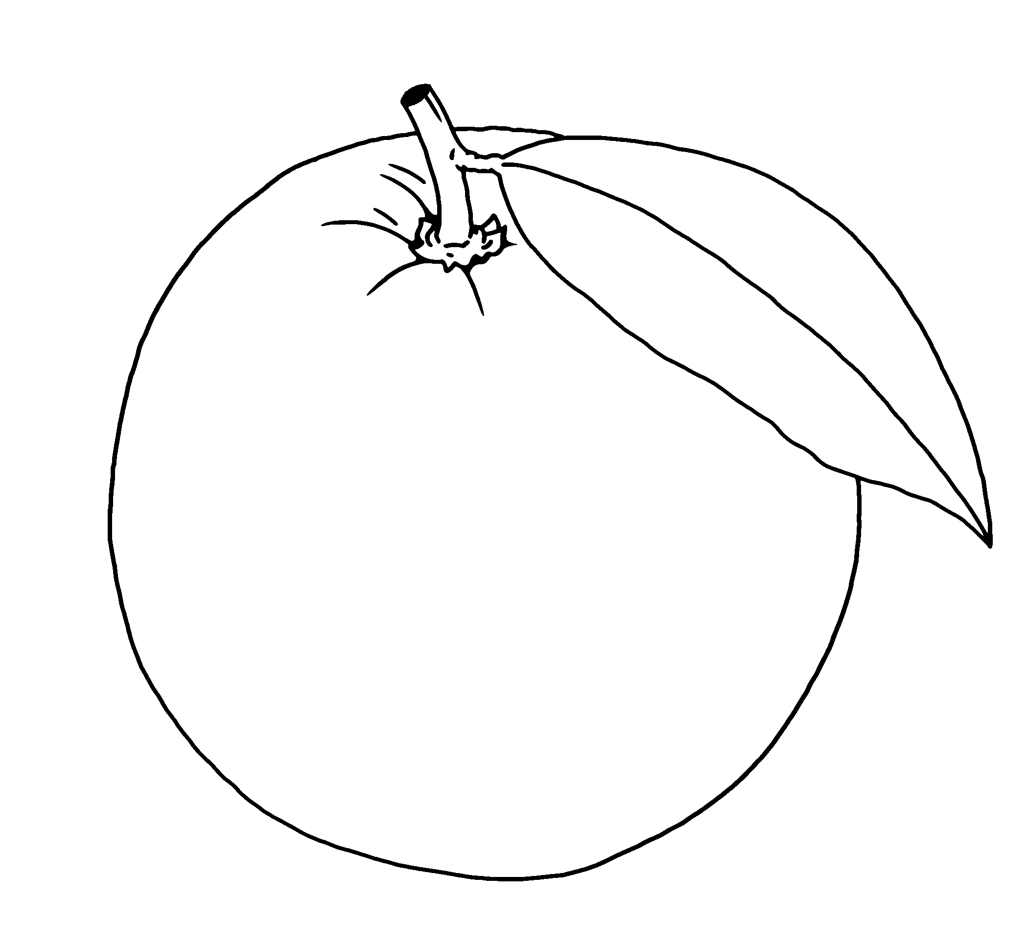 Orange Cartoon Drawing Outline Clipart Nepal Clipart