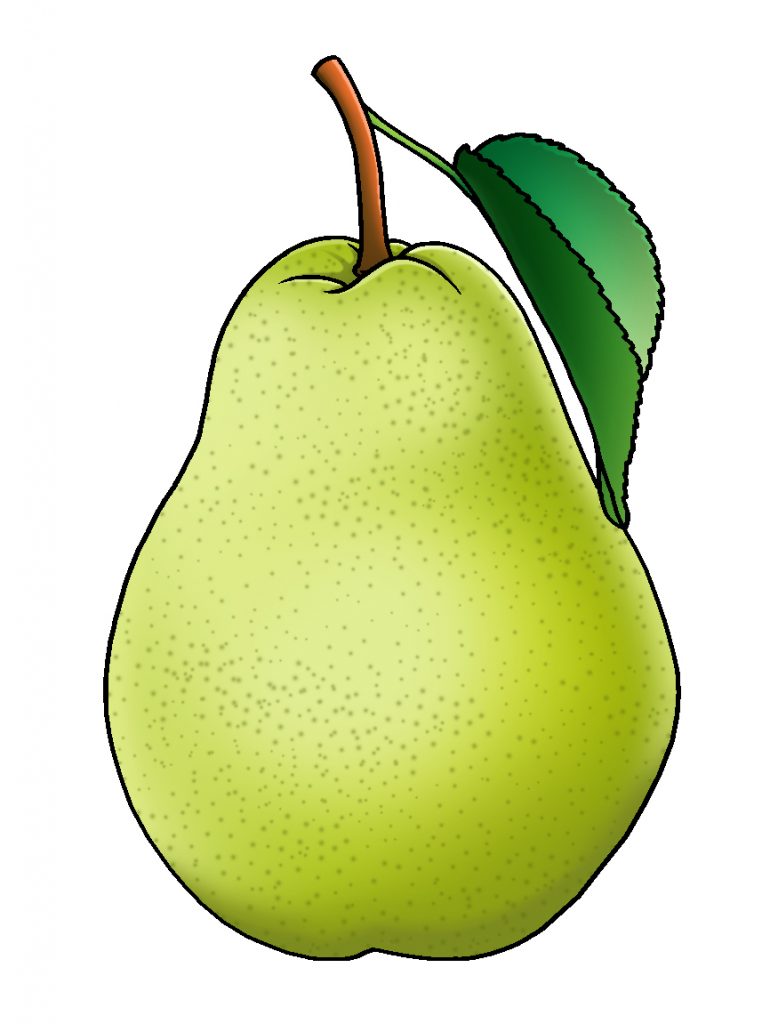 jumla-nepal-apple-clipart-cartoon-clipart-nepal