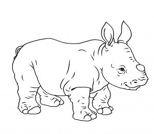 baby rhino cartoon clipart illustration