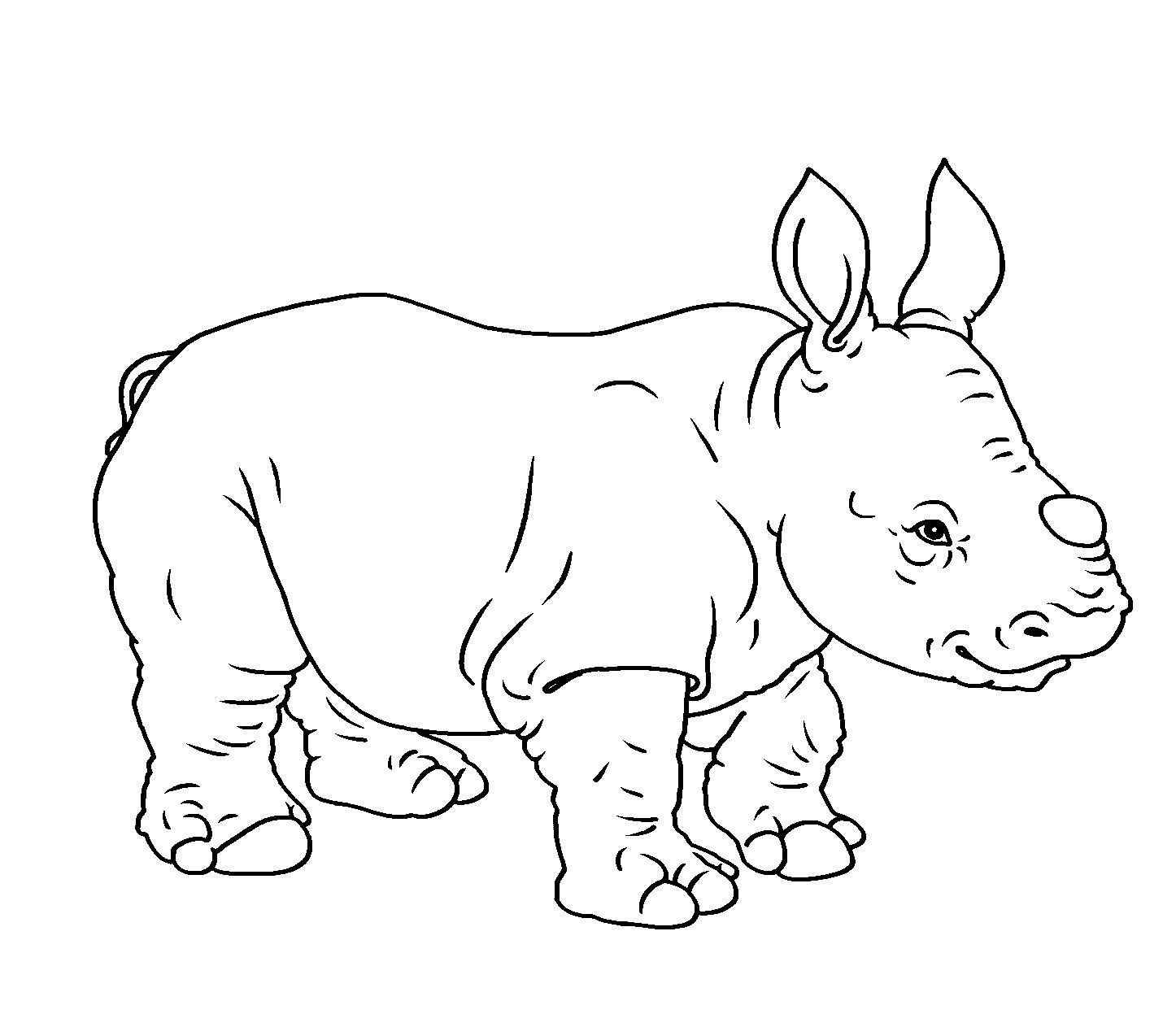 how-to-say-rhinocerotidae-youtube