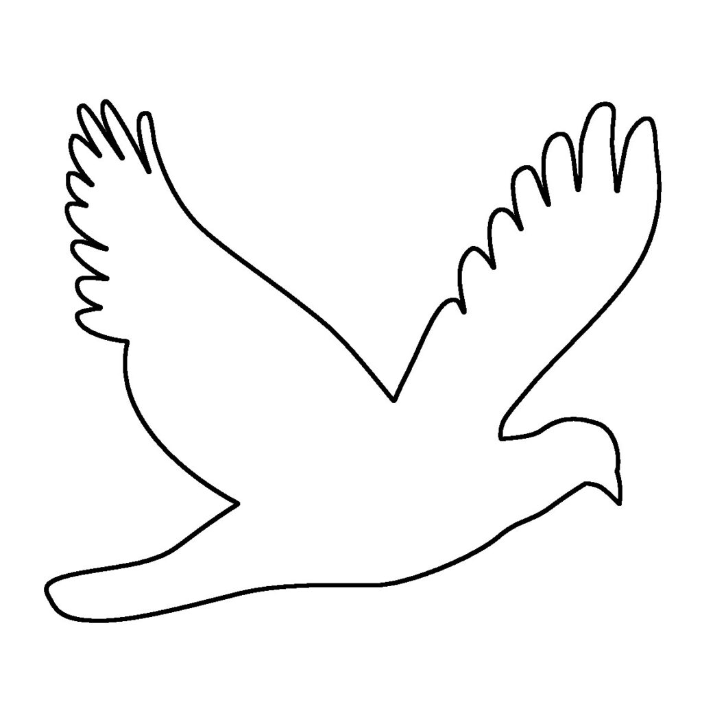 Pigeon Outline Clipart 