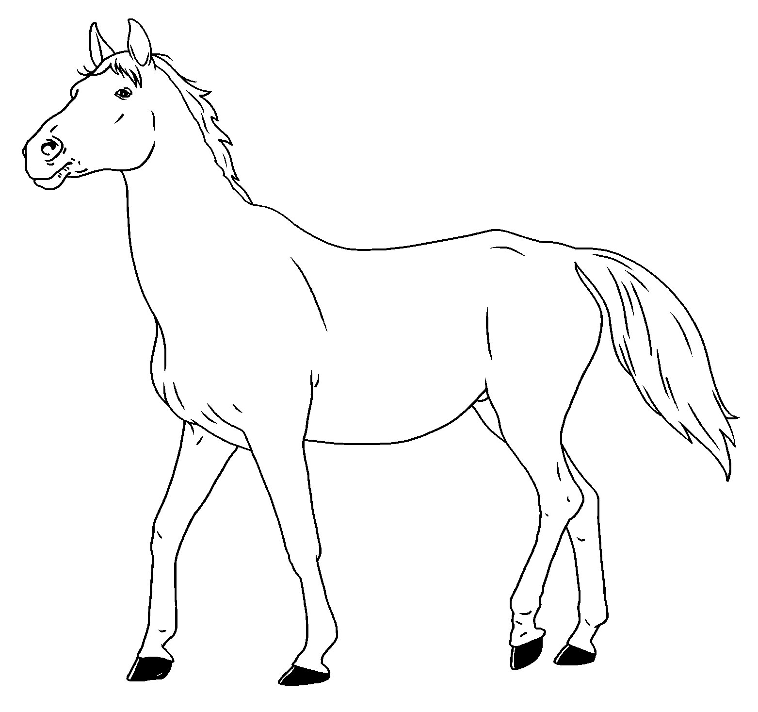 Horse outline clipart drawding illustration