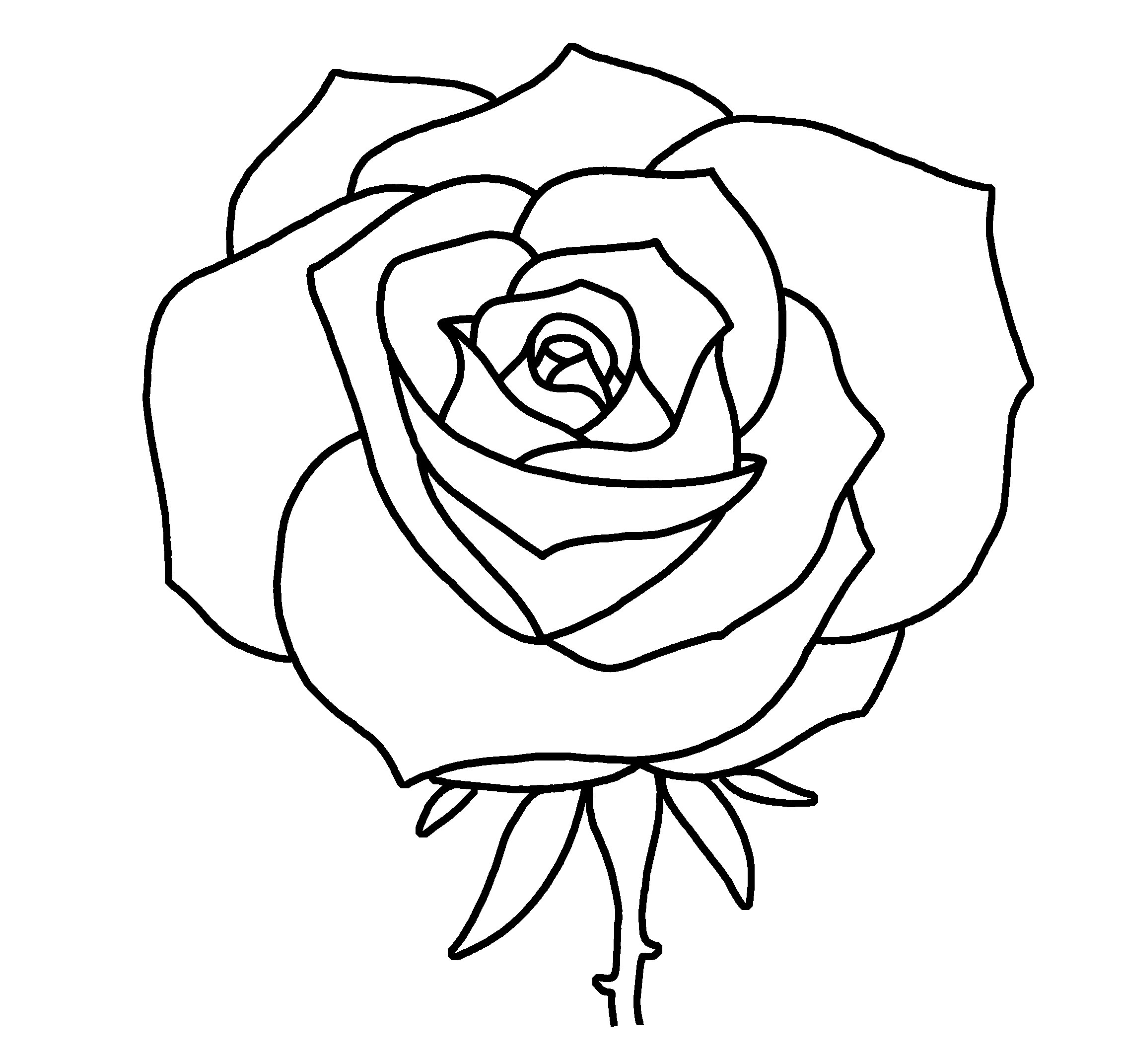 rose-outline-drawing-for-colouring-clipart-nepal