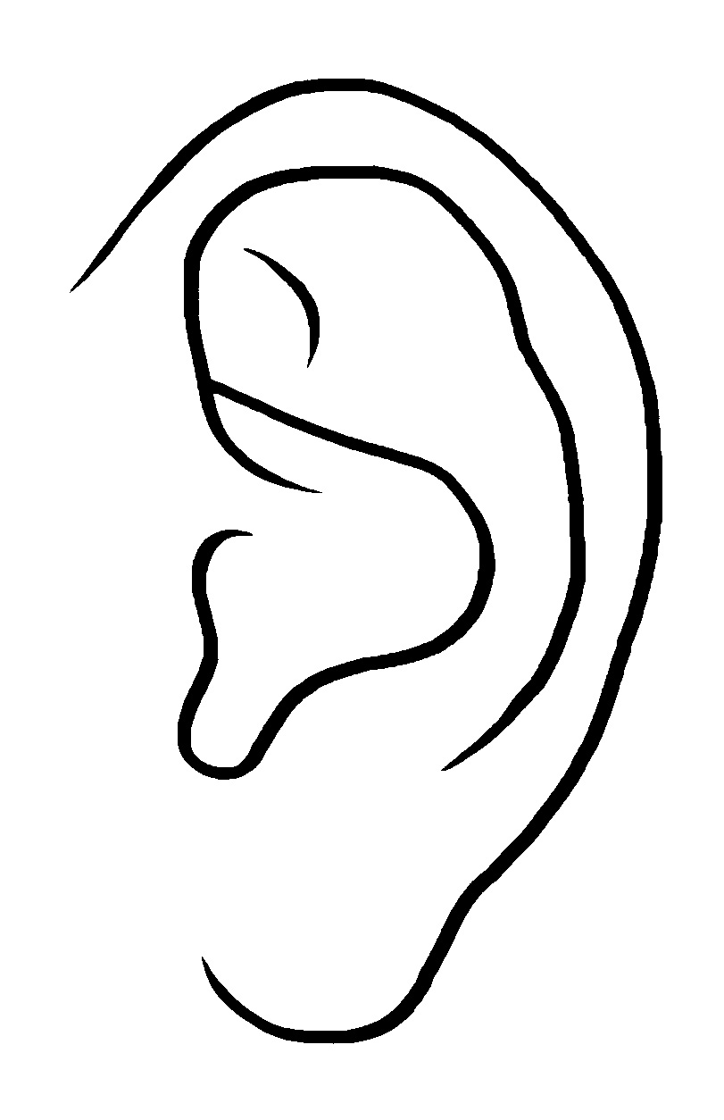 Ear outline clipart drawing